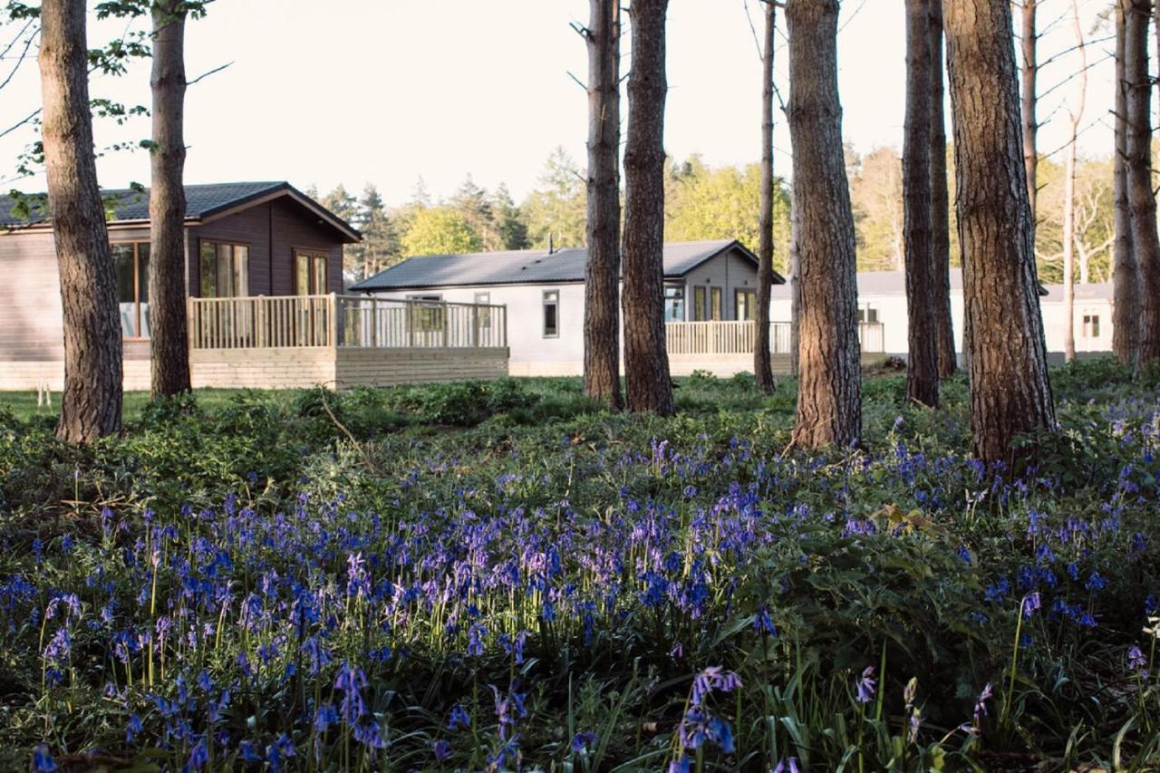Hollicarrs - Wildflower Lodge York Exterior foto