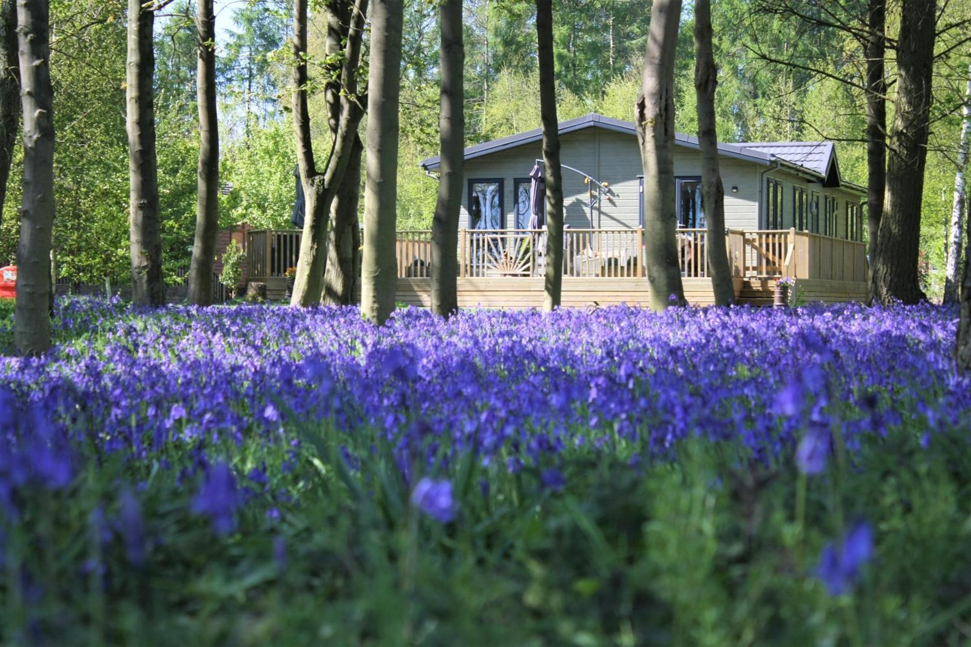 Hollicarrs - Wildflower Lodge York Exterior foto