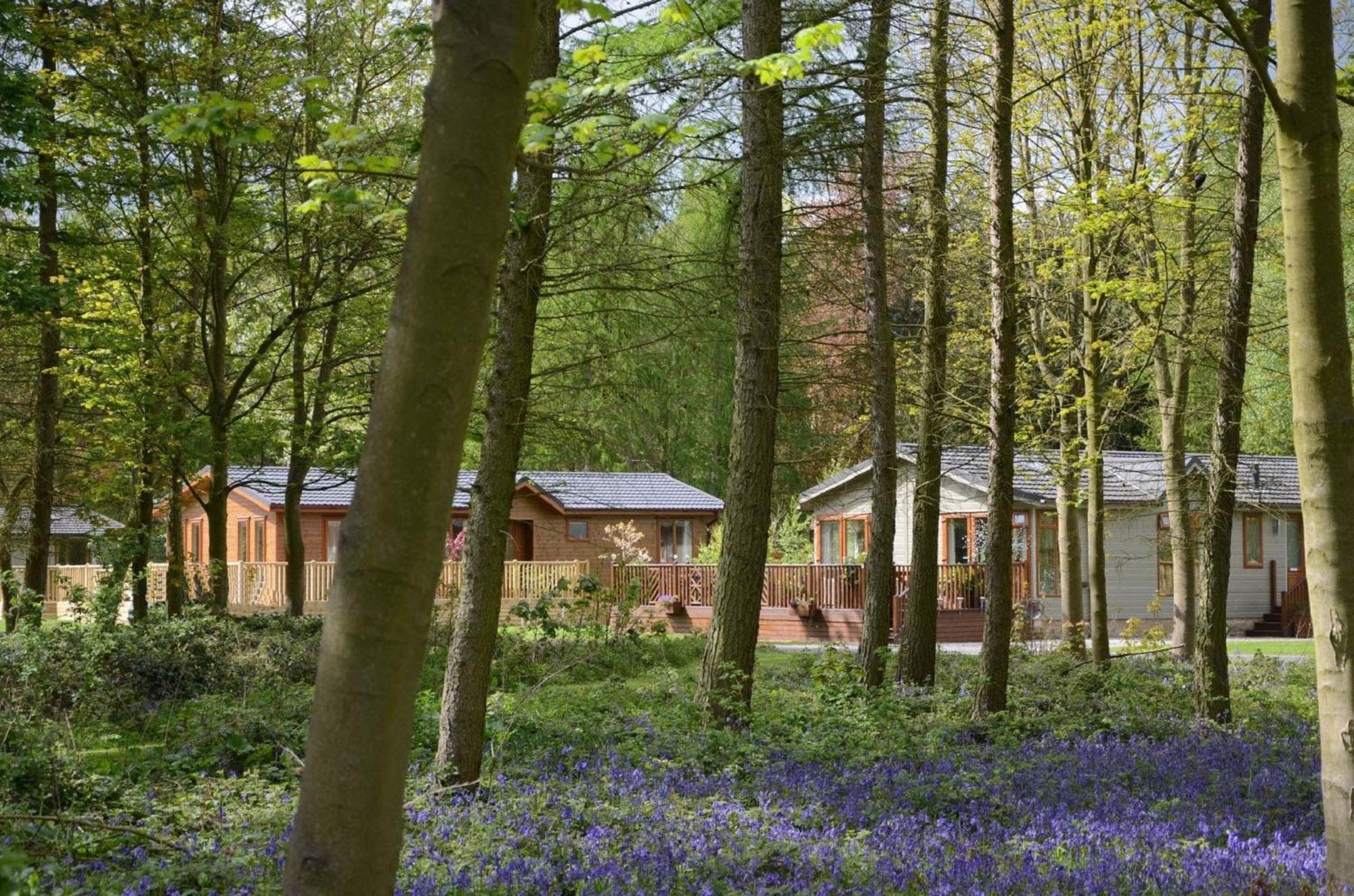 Hollicarrs - Wildflower Lodge York Exterior foto